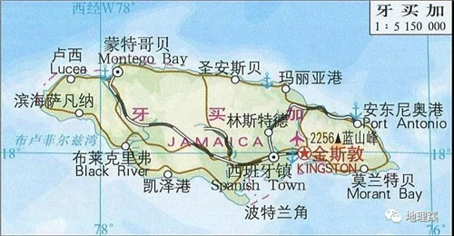 牙買加藍山咖啡入門指南：產地、等級、處理法與手沖參數全解析