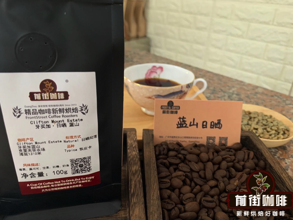 牙買加藍山咖啡入門指南：產地、等級、處理法與手沖參數全解析