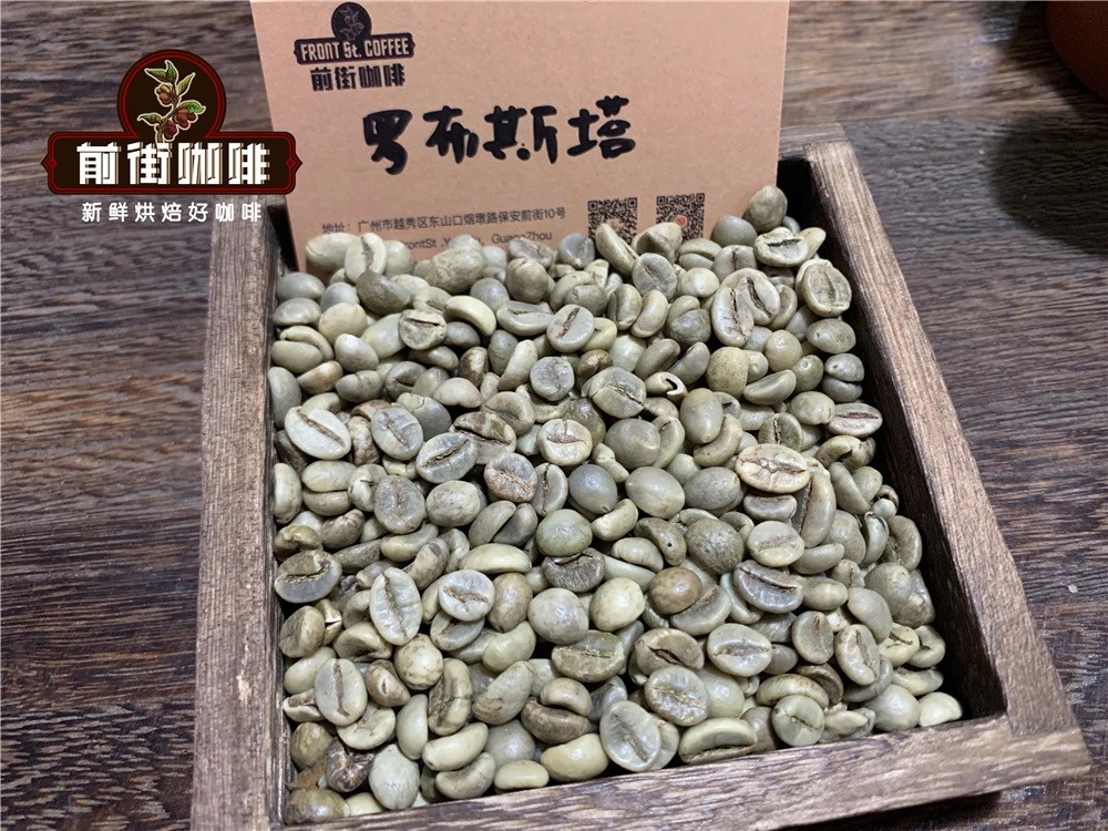 阿拉比卡咖啡品種全圖鑑：從鐵皮卡到瑰夏，品嚐風味與種植秘密