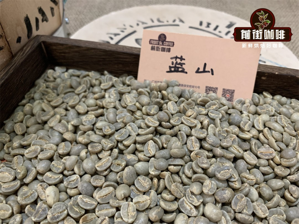 牙買加藍山咖啡等級劃分與品種風味特點全面解析