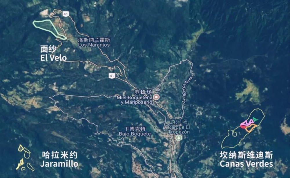 巴拿馬瑰夏手沖指南|掛耳萃取技巧與風味解析