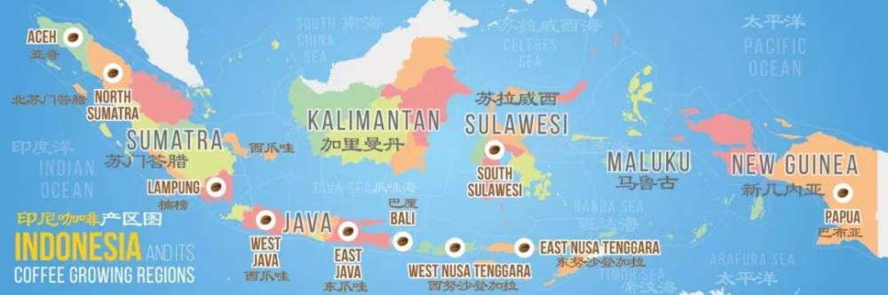 印尼曼特寧意式萃取設定與黃金曼特寧由來全解析