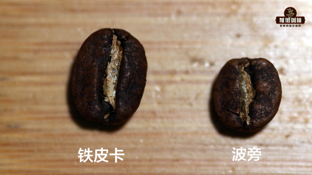 手衝咖啡粉水比與豆量怎麼選？單品豆種類及風味全解析