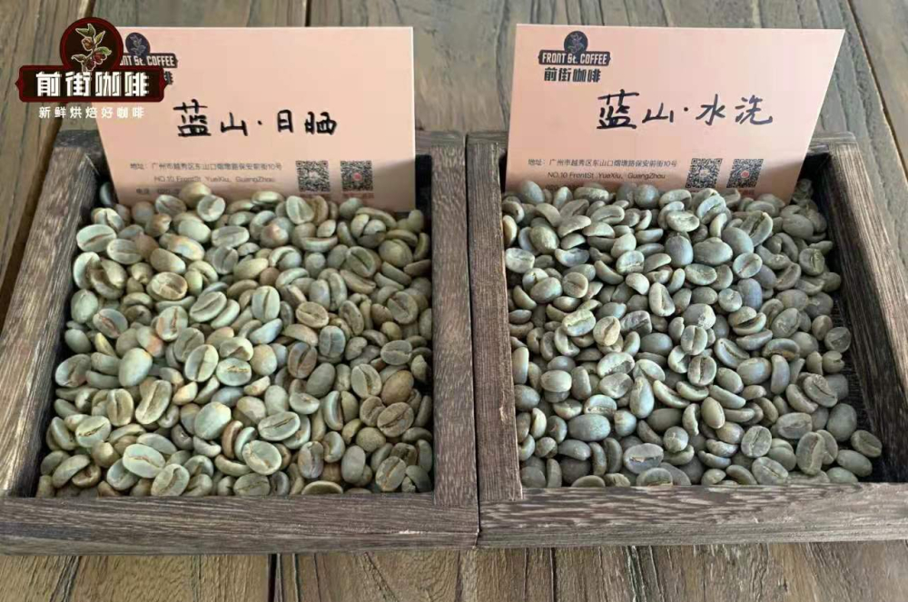 牙買加藍山咖啡全攻略：產地、分級、風味與真偽辨識
