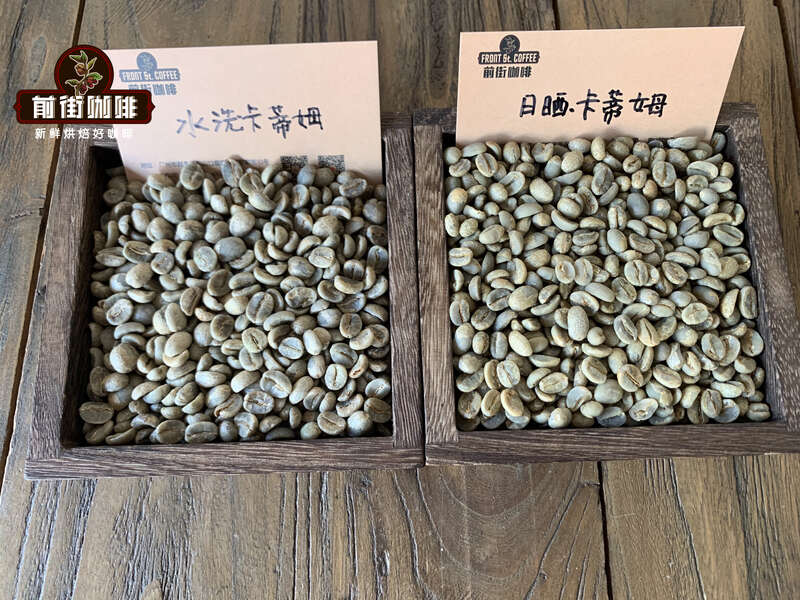雲南鐵皮卡 vs 卡蒂姆手沖實戰:產區風味、處理法差異與最佳萃取參數