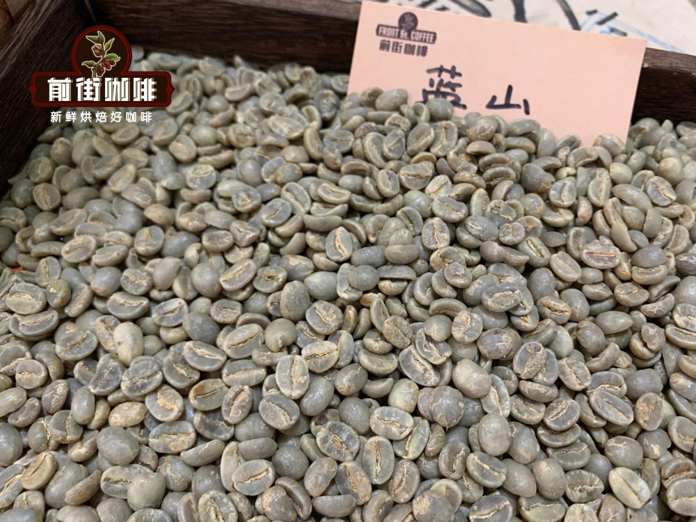 牙買加藍山一號等級與沖煮全攻略|風味特點與萃取參數解析