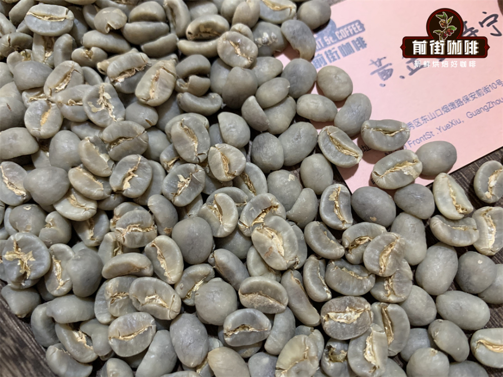 印尼曼特寧咖啡豆：產地品種、風味特徵與名稱歷史全解析
