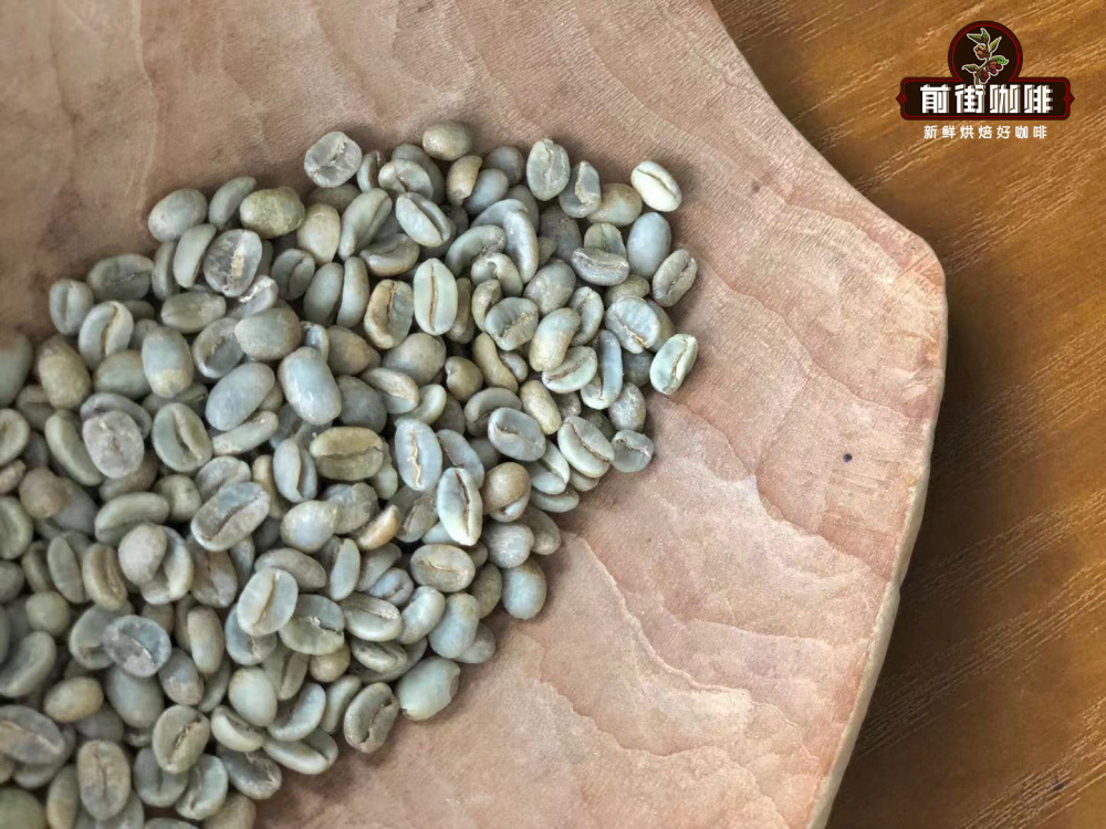 哥倫比亞精品咖啡豆產區與手沖參數全攻略：從蕙蘭風味到分級標準