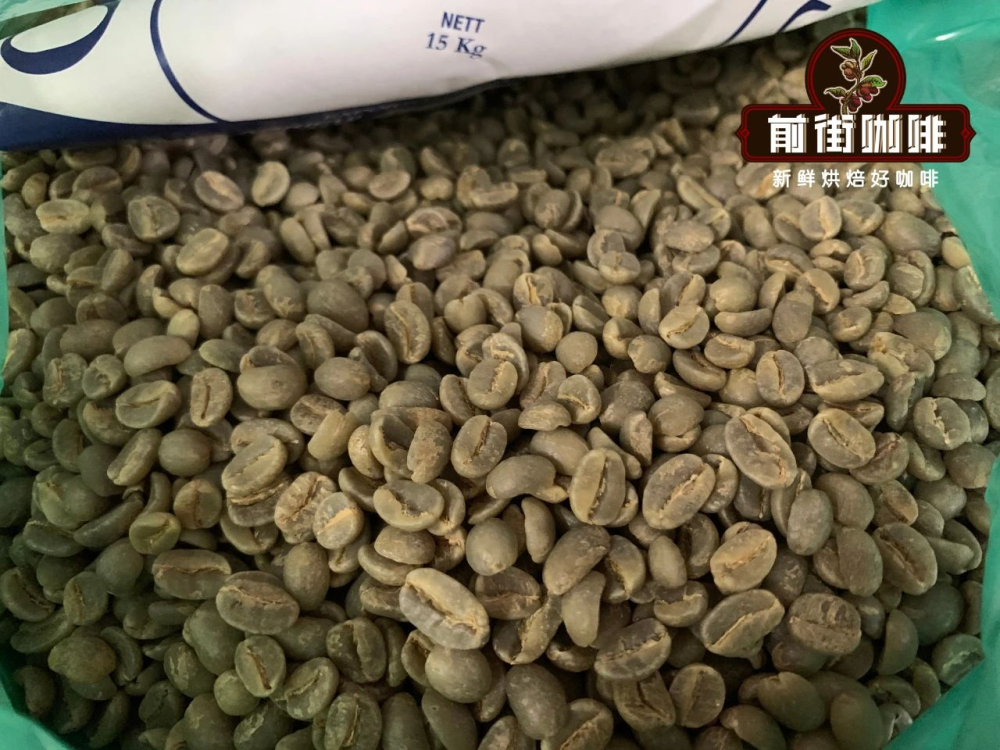 如何辨別正宗牙買加藍山咖啡豆?從產地分級到風味特徵的完整解析 如何辨別正宗牙買加藍山咖啡豆?從產地分級到風味特徵的完整解析