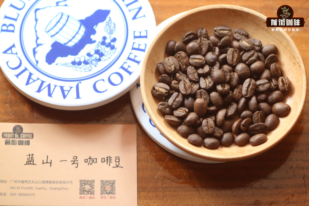 牙買加藍山風味解析與全球經典咖啡豆及意式喝法入門指南