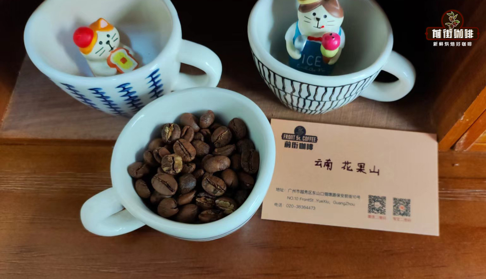 雲南三大咖啡品種深度剖析：鐵皮卡、卡蒂姆與波旁風味與烘焙全攻略