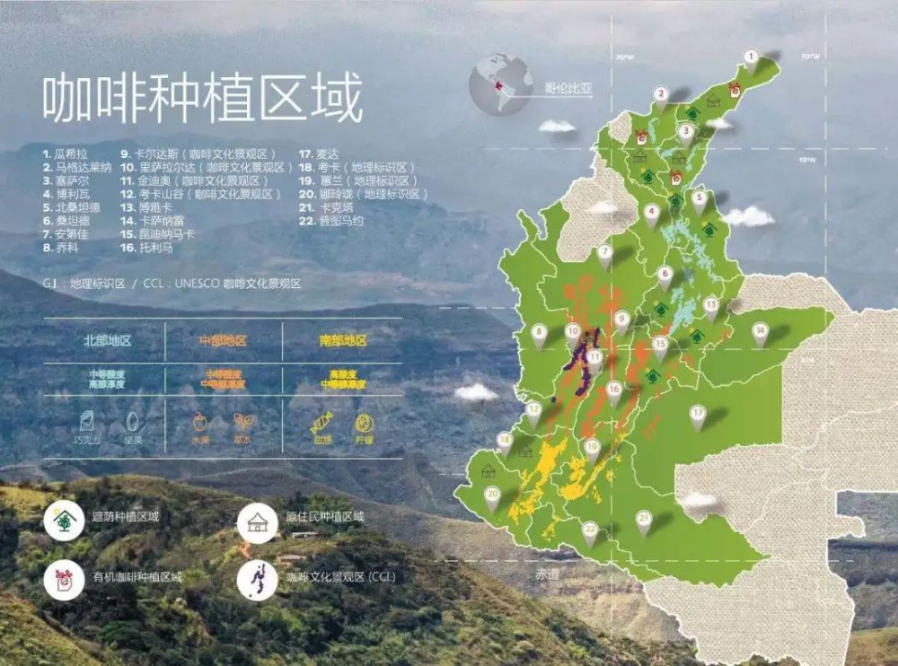 哥倫比亞胡安·帝滋咖啡怎麼喝?惠蘭水洗豆手沖參數與風味解析