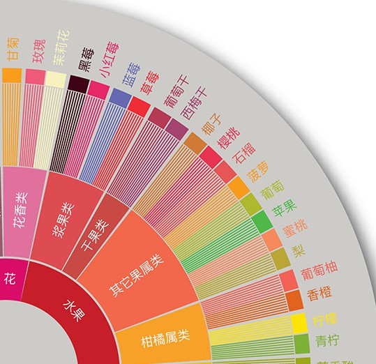咖啡風味輪十大類別全解析｜從水果到花香的品鑑技巧與萃取參數