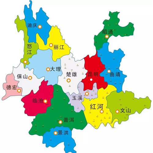 雲南小粒咖啡品種解析：從卡蒂姆到鐵皮卡的風味、產區與衝煮建議
