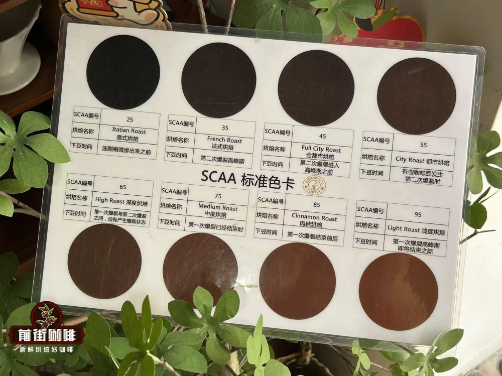 咖啡烘焙程度全攻略：從淺烘到深烘的風味差異與實用分類