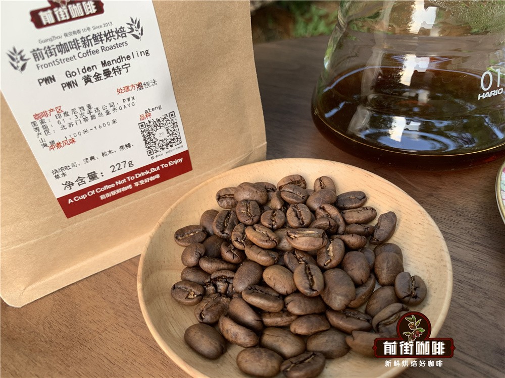 蘇門答臘曼特寧濕刨法解析與沖煮技巧｜低酸醇厚風味指南