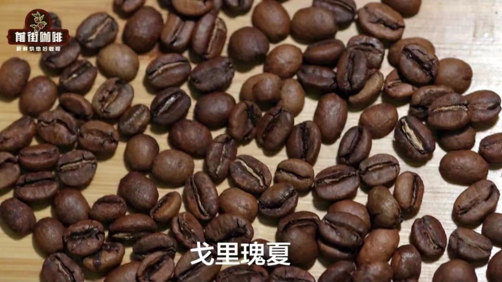埃塞瑰夏村金標瑰夏豆解析：戈裡瑰夏與1931品種手沖指南