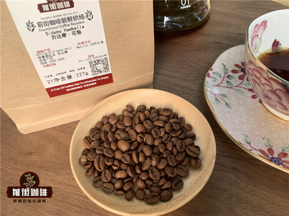 日曬西達摩花魁 vs 水洗耶加雪菲:風味解析與西達摩咖啡價格全攻略