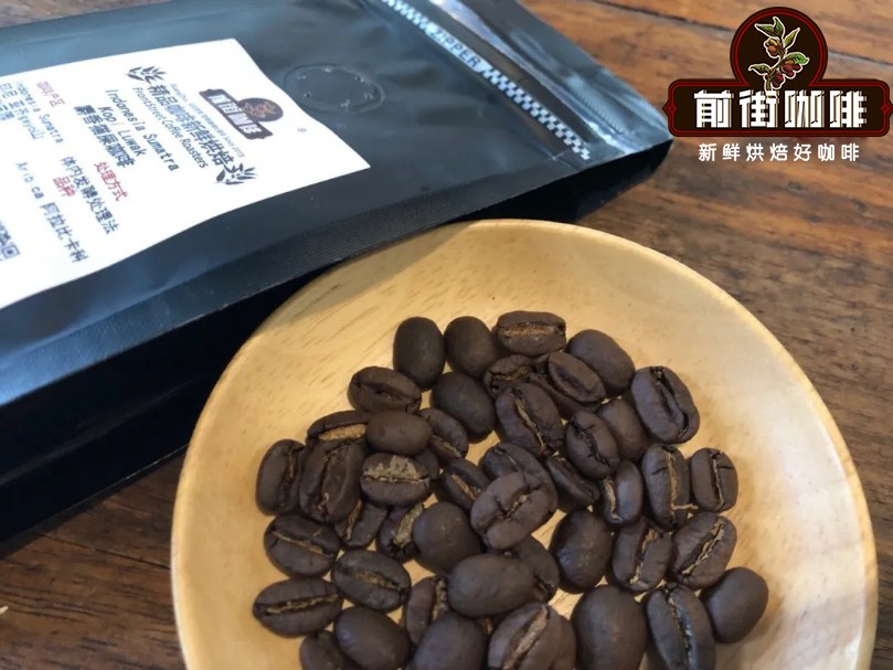 越南貓屎咖啡真假怎分辨?Kopi Luwak風味與手沖參數全解析