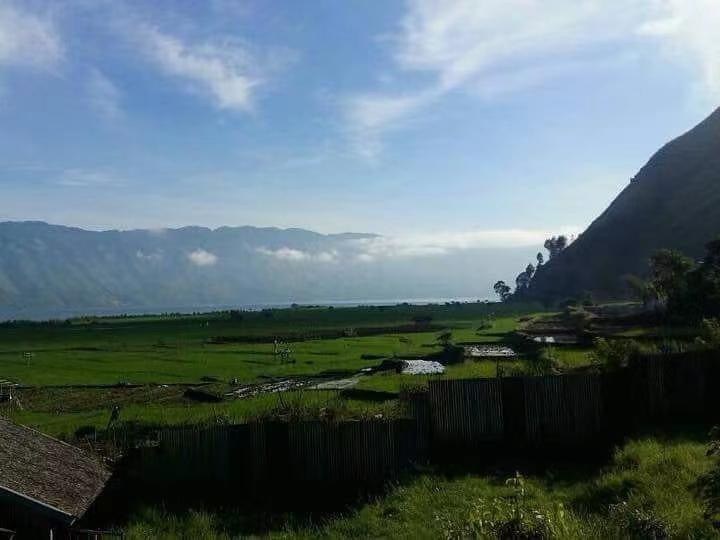 曼特寧與藍山咖啡風味大不同：品種、產地與手沖萃取全解析