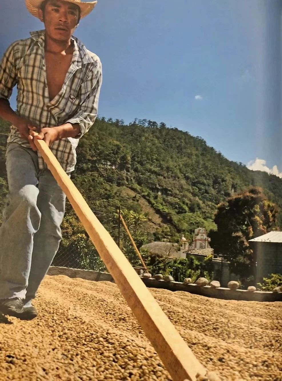 洪都拉斯咖啡產區全面解析：風味輪廓、分級與六大核心產地