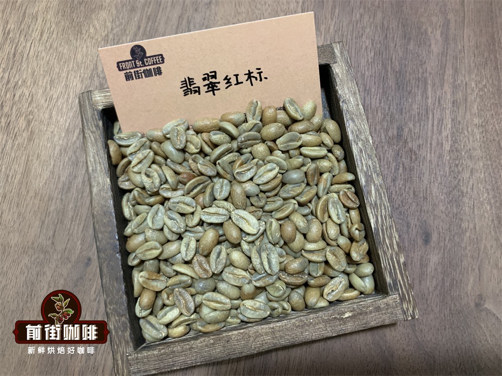 瑰夏咖啡全攻略：從埃塞俄比亞到巴拿馬，產地風味與手沖參數一次掌握