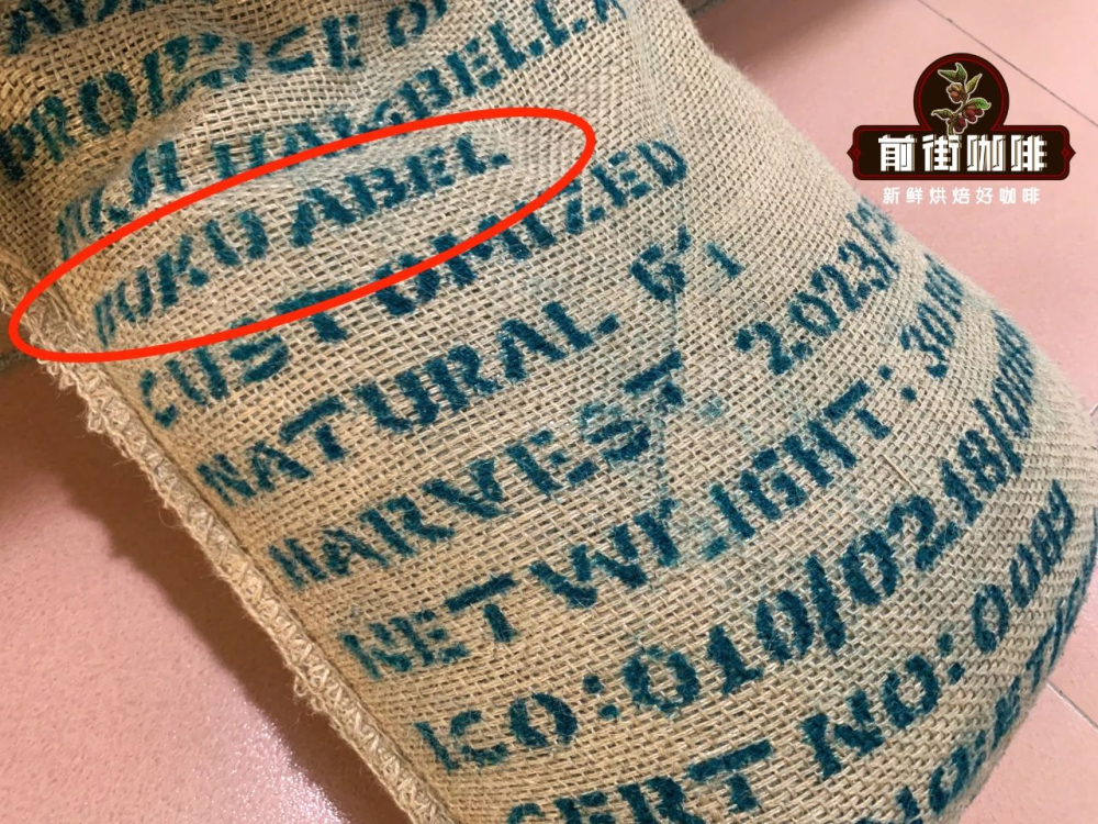 埃塞花魁咖啡手衝指南：西達摩罕貝拉日曬豆的衝煮參數與風味演變