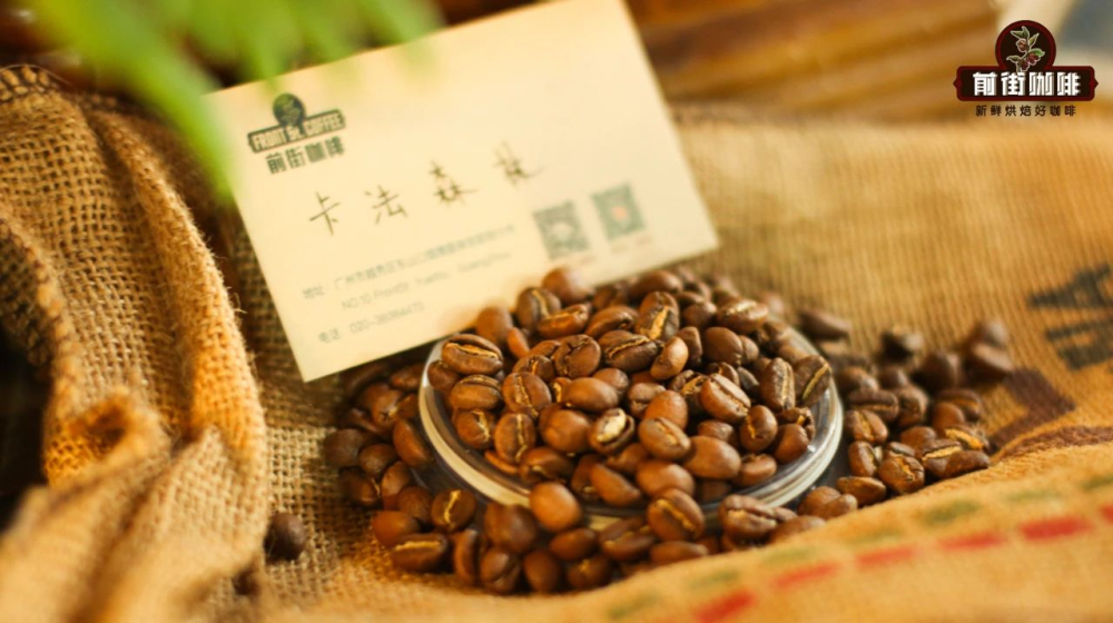 埃塞俄比亞原生種 vs. Landrace：搞懂咖啡品種背後的風土密碼