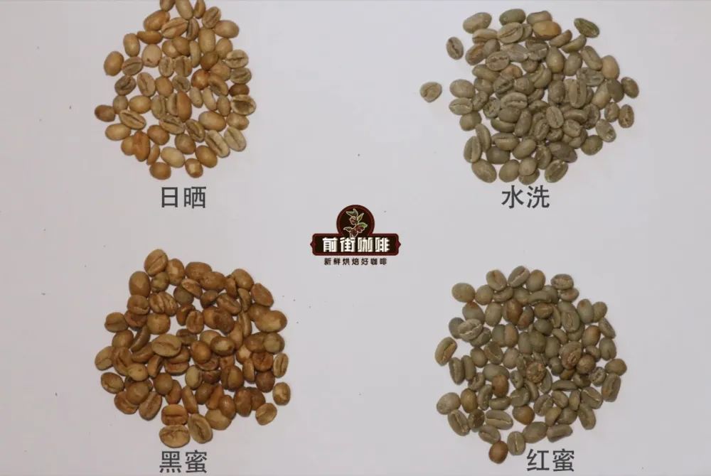 埃塞俄比亞西達摩日曬豆怎麼沖？品種、處理法與手沖參數全攻略