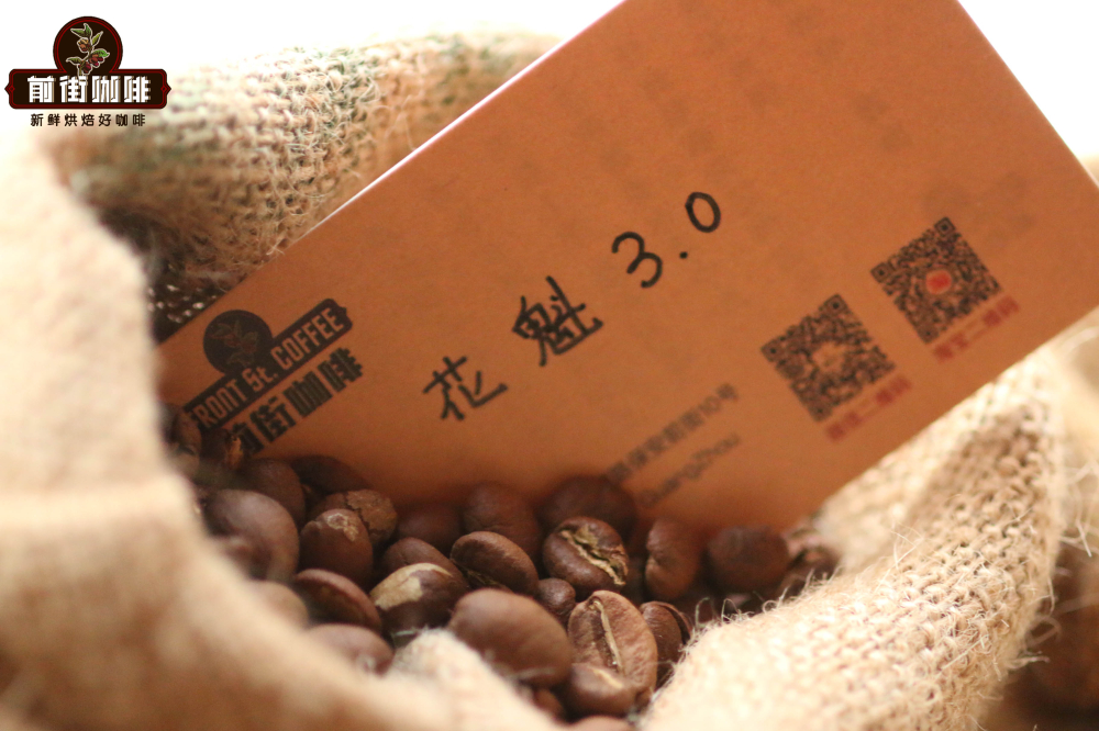 日曬西達摩花魁 vs 水洗耶加雪菲:風味解析與西達摩咖啡價格全攻略