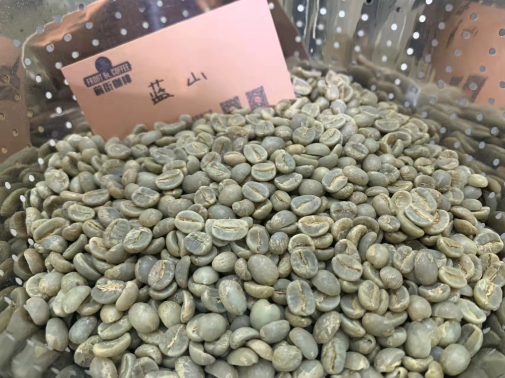 牙買加藍山咖啡昂貴原因解析｜低價仿品如何辨識？