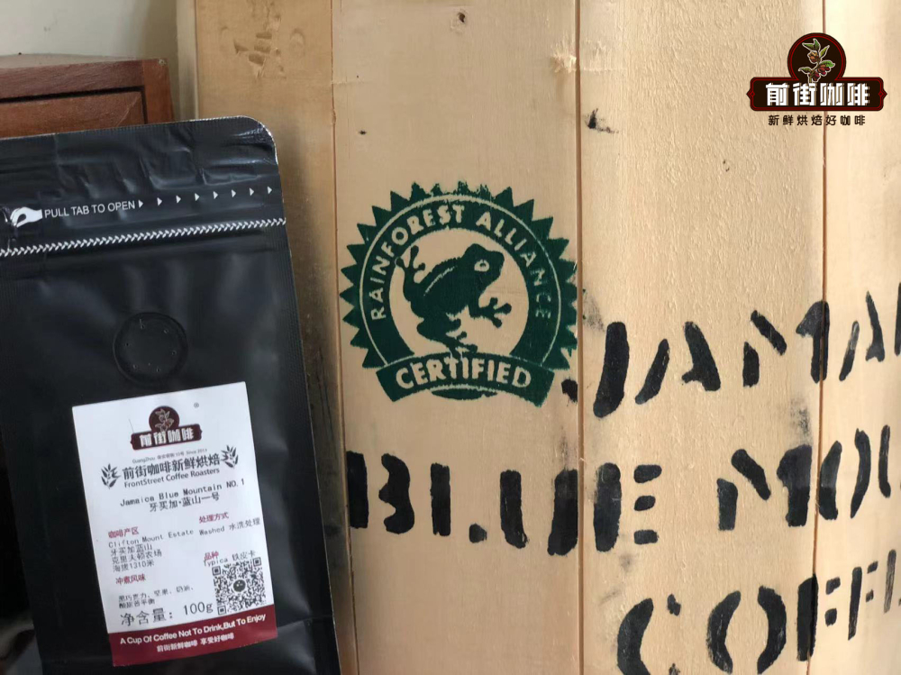 牙買加藍山咖啡等級解析與鑑別技巧：從產區海拔到藍山一號手沖指南