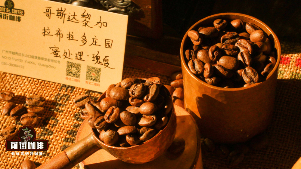 哥斯達黎加咖啡豆怎麼泡?蜜處理SHB手沖參數與藍莓風味解析