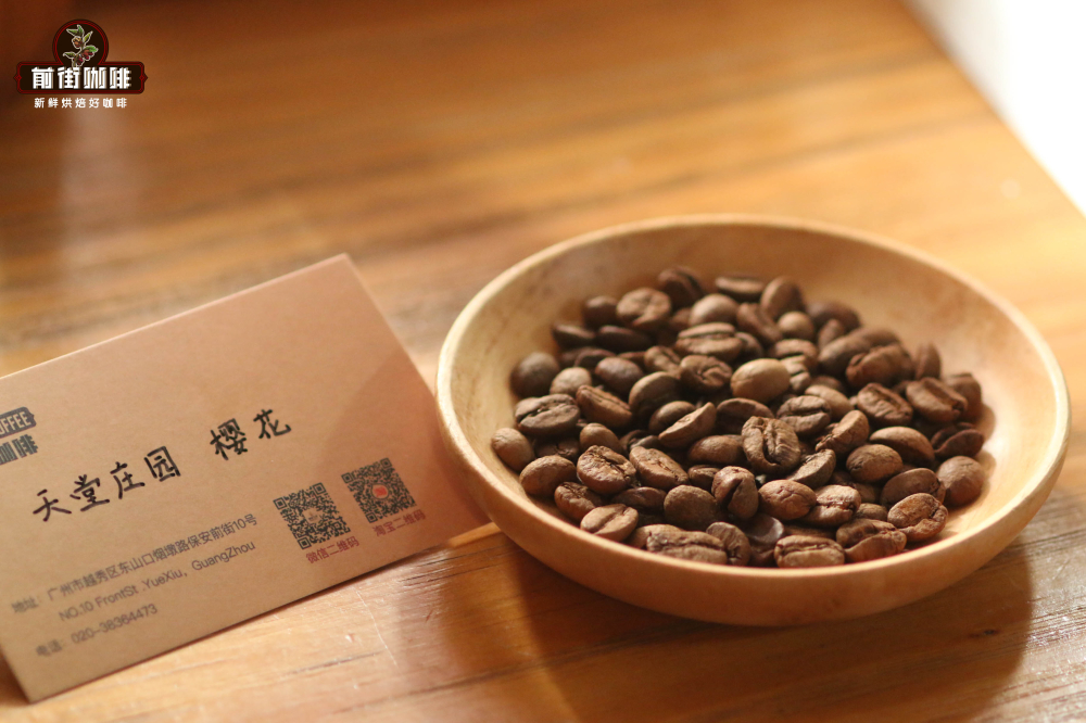 厭氧發酵咖啡豆怎麼沖？紅酒處理法原理與手沖參數全解析