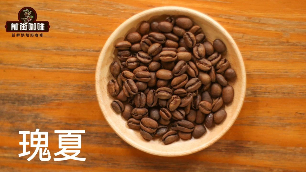 巴拿馬瑰夏手沖指南|掛耳萃取技巧與風味解析