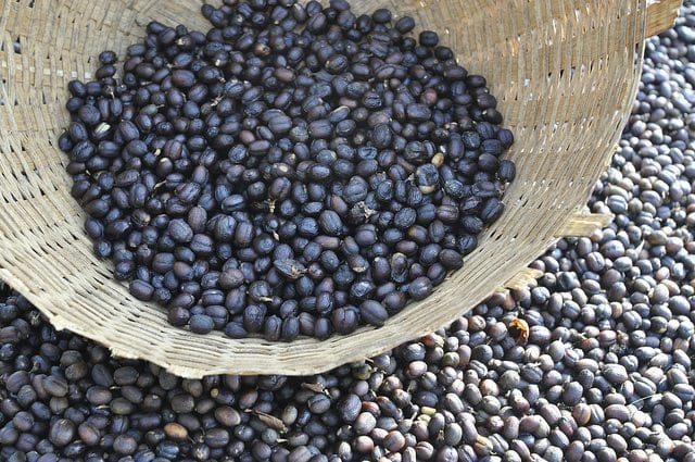 耶加雪菲產區深度解析：水洗與日曬處理法差異與手沖建議