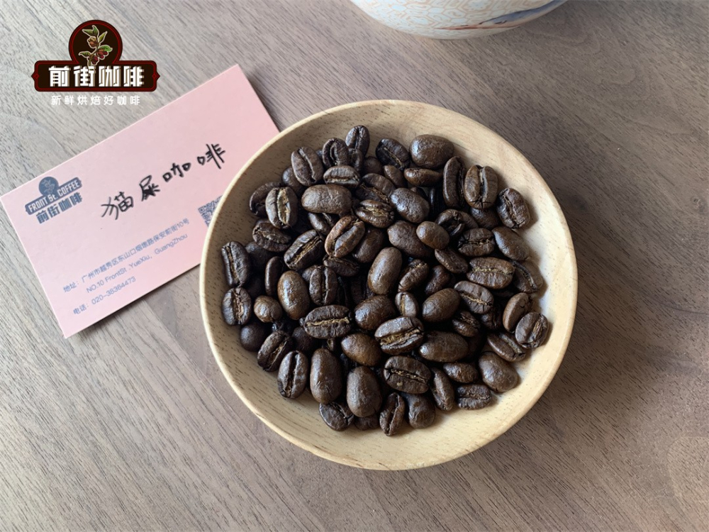 全球十大精品咖啡產地風味解析：從巴西到雲南的沖煮指南