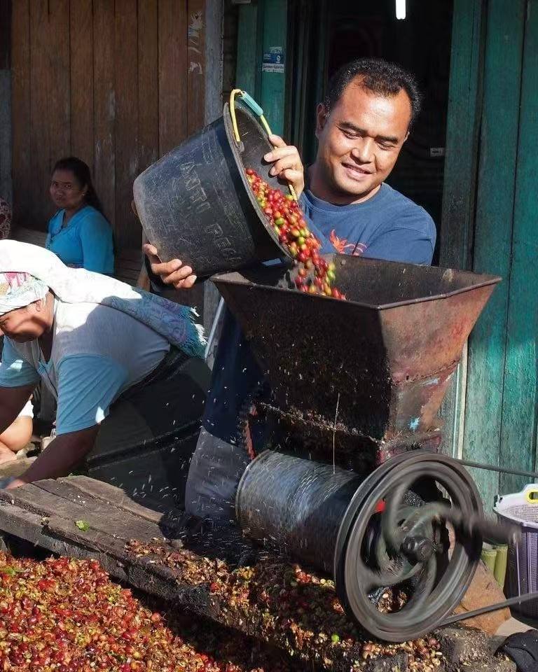 全球十大精品咖啡產地全解析：風味特色與處理法大公開