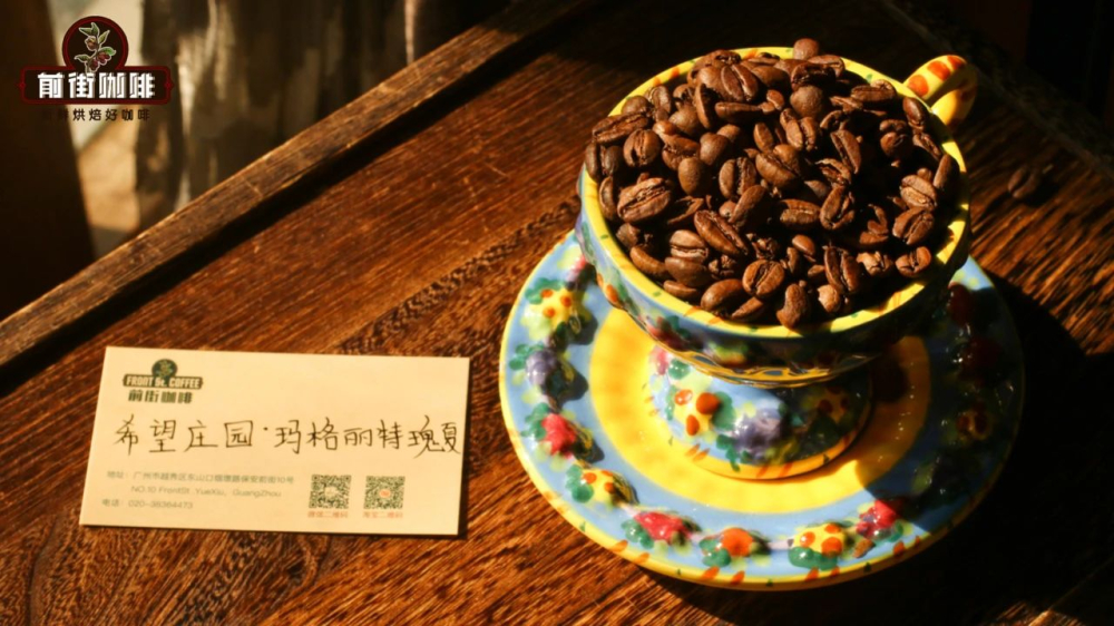 哥倫比亞希望瑰夏豆解析：從種植到手沖的全方位指南