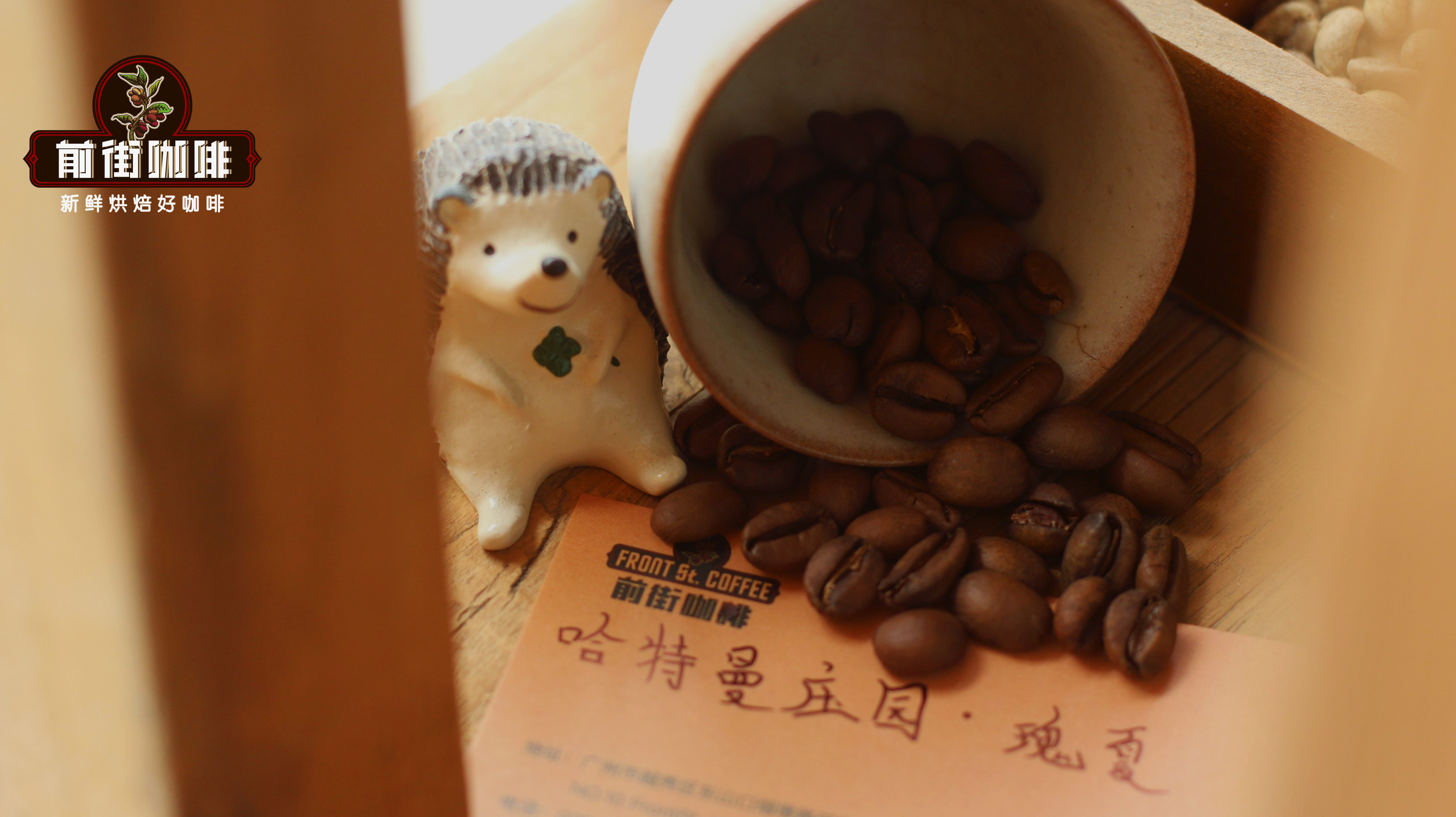 中南美八大咖啡產區深度解析：風味、處理法與手沖參數全攻略