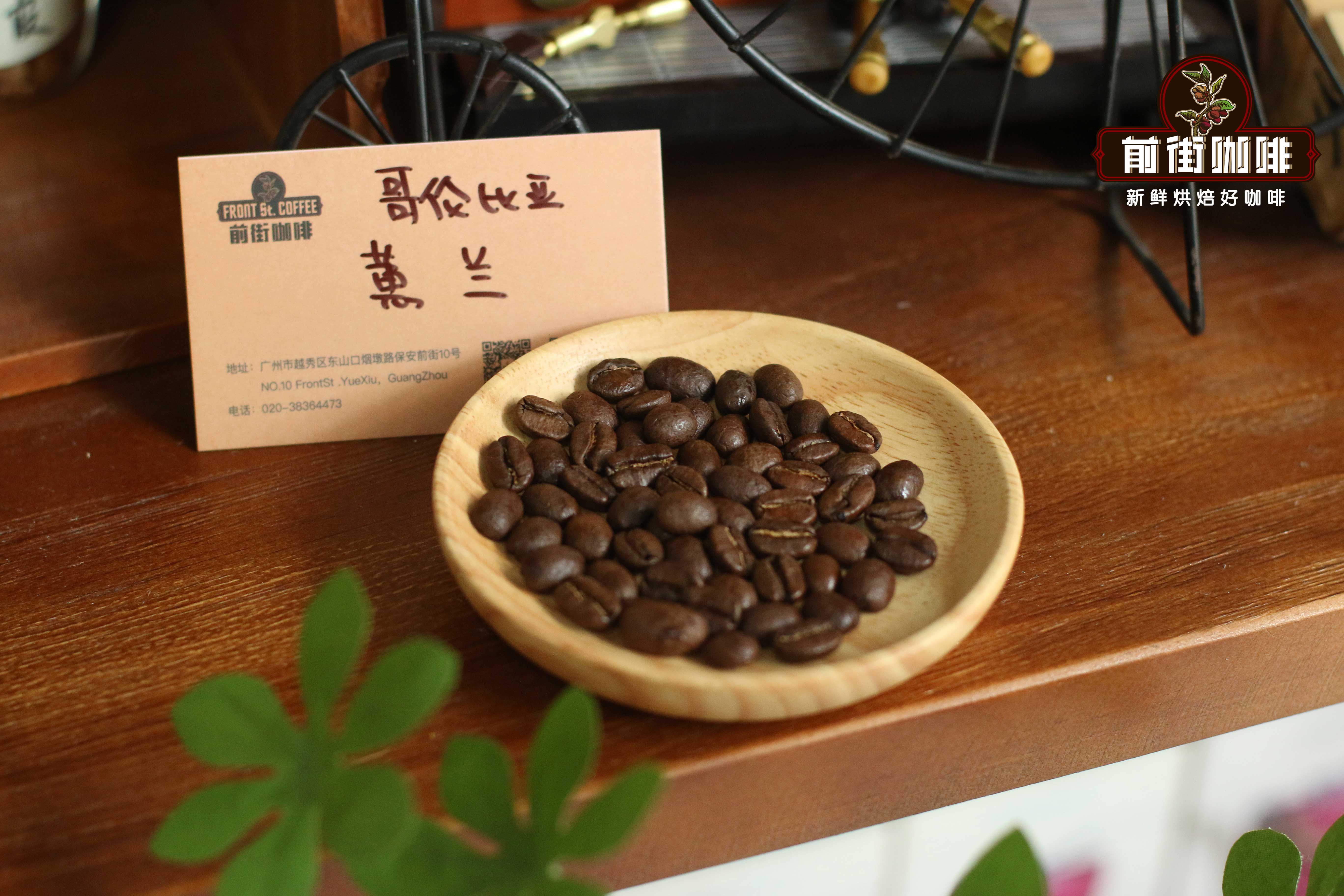 哥倫比亞粉紅波旁咖啡豆解析：產地風味、處理法與手沖參數全攻略