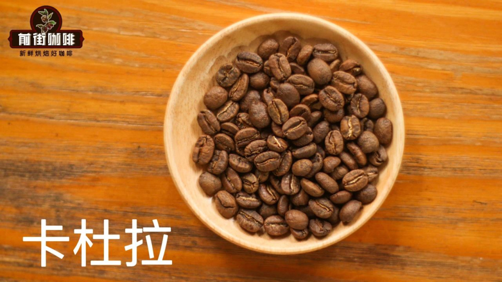 哥倫比亞粉紅波旁咖啡豆解析：產地風味、處理法與手沖參數全攻略