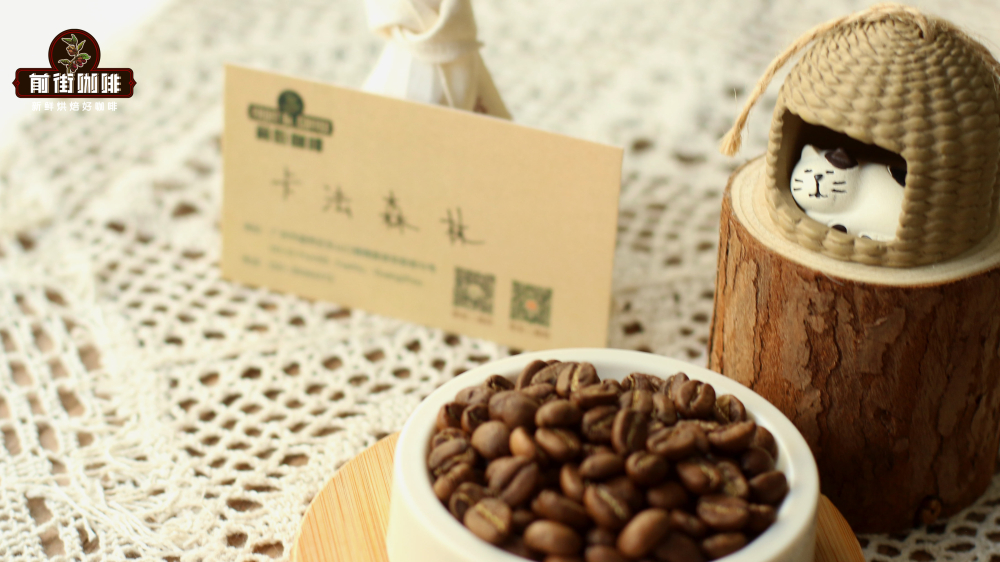 冰手沖咖啡實驗：先加冰還是後加冰？對風味與萃取的影響解析