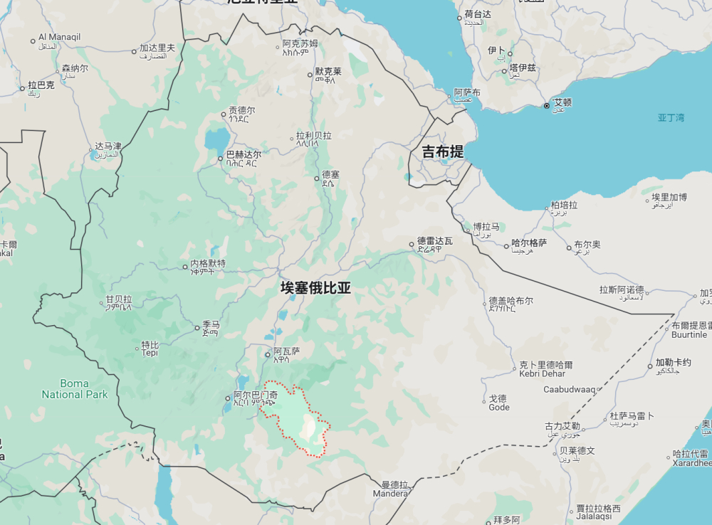埃塞俄比亞古吉G1日曬豆風味解析與最佳手沖參數指南