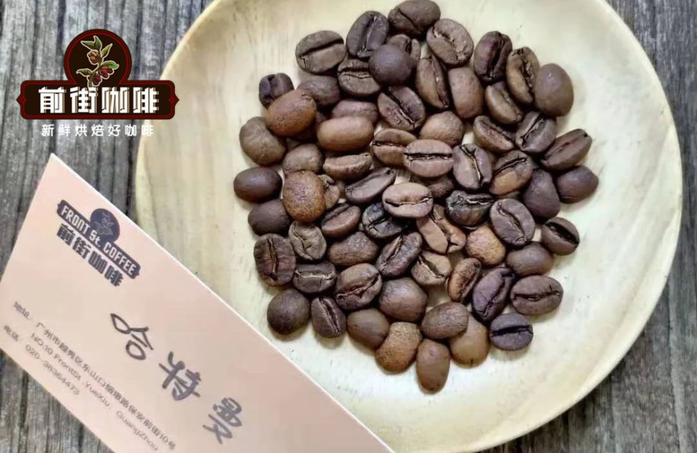 中美洲南美洲咖啡風味大比拼：巴拿馬、哥倫比亞等五大產區特色解析