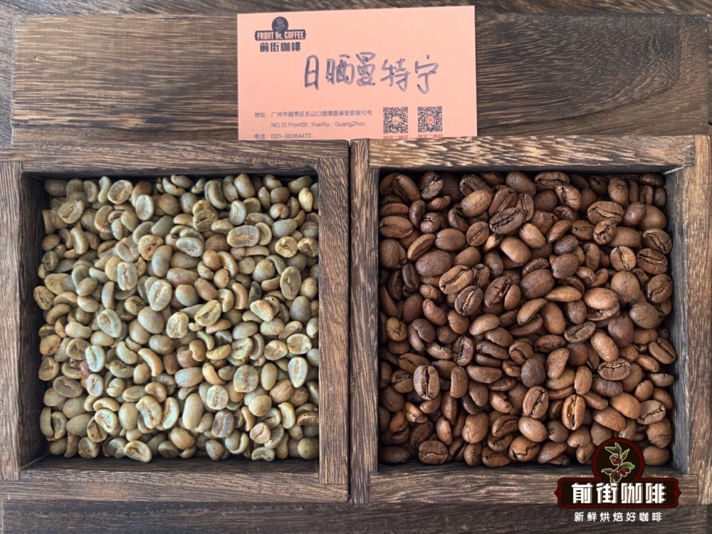 牙買加藍山咖啡全攻略：產地、品種、風味與手沖參數解析