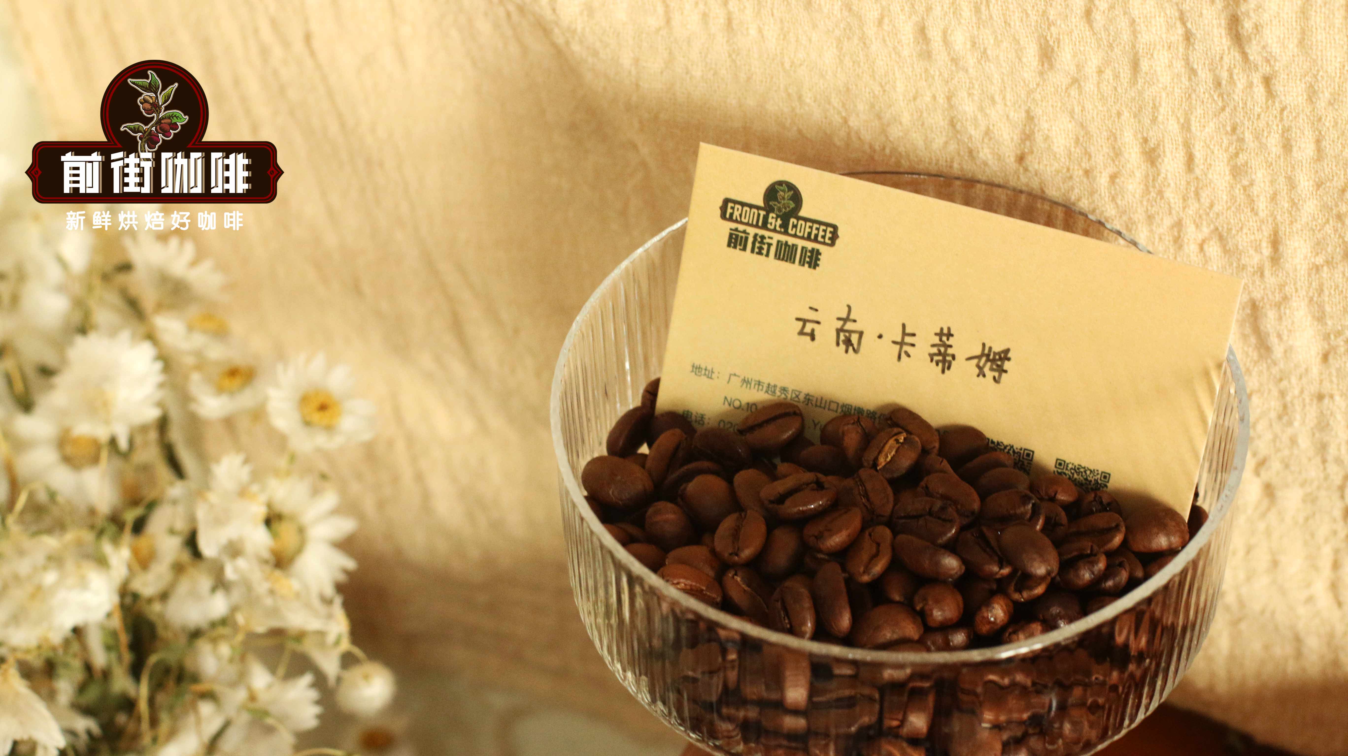 雲南小粒咖啡品種溯源與手衝風味解析：從卡蒂姆到鐵皮卡