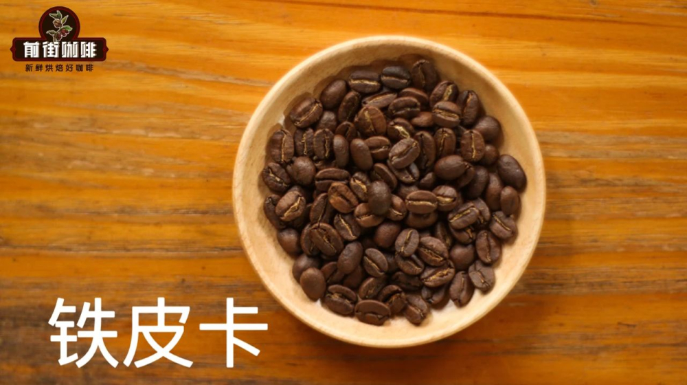 雲南小粒咖啡卡蒂姆品種深度解析|風味特點、產區分佈與手沖建議