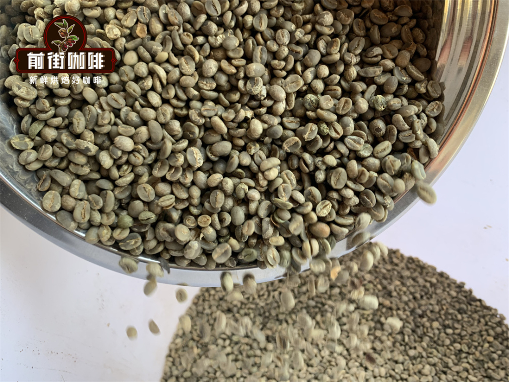 雲南小粒咖啡豆價格走勢與產業現況:2022 年最新收購行情與挑戰解析