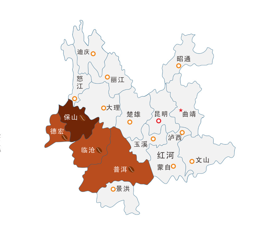 雲南咖啡品種演變與風味解析：鐵皮卡種如何影響手沖風味？